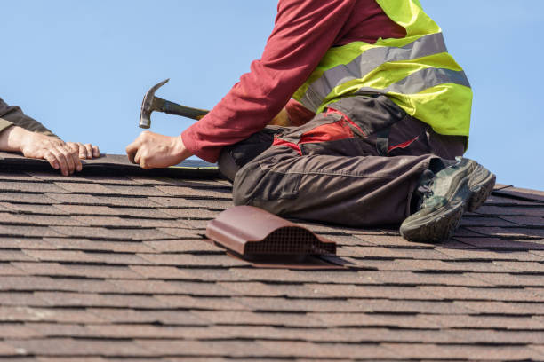 Best Roofing Contractor Near Me  in Waverly, OH