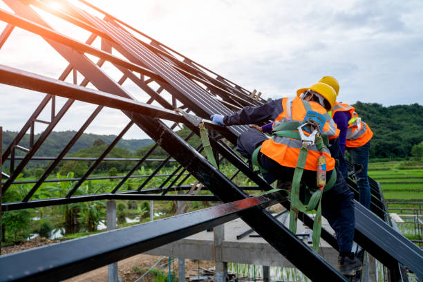 Best Shingle Roofing Installation  in Waverly, OH