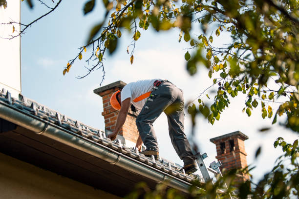 Best Emergency Roof Repair  in Waverly, OH