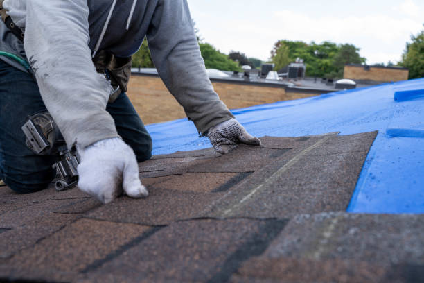 Quick and Trustworthy Emergency Roof Repair Services in Waverly, OH