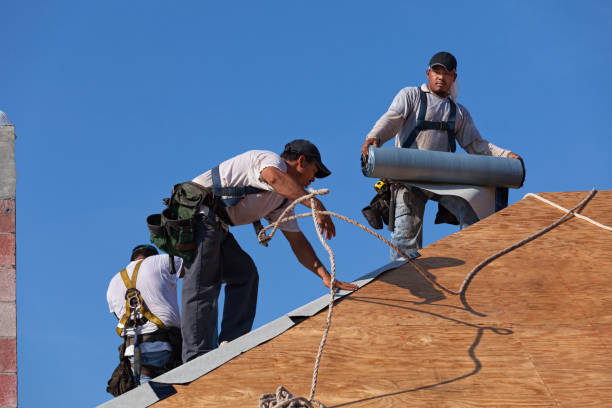 Best Residential Roofing Contractor  in Waverly, OH